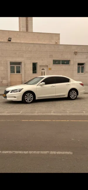 Used Honda Accord in Buraimi