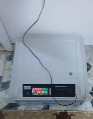 سلام عليكم ورحمة الله وبركاته فقاصة شغاله منتجة