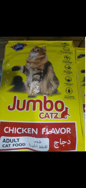cat food (dry)