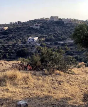 Farm Land for Sale in Salt Al Maghareeb