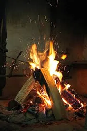 خشب وحطب للتدفئة والشواء في المنازل والمطاعم والمقاهي ورحلات الصيد والصحاري والقري السياحية