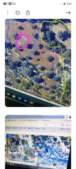 Residential Land for Sale in Ramallah and Al-Bireh Kafr Ni'ma