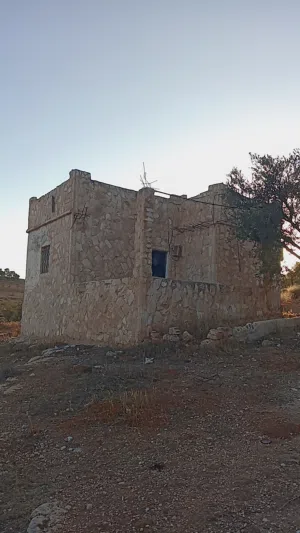 Farm Land for Sale in Mafraq Al-Dajaniya
