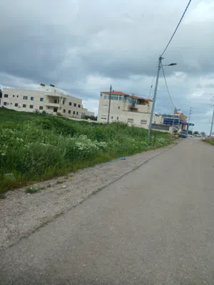 Residential Land for Sale in Irbid Aydoun