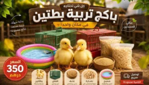 عرض مميز لعشاق تربيه بط
