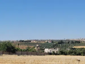 Farm Land for Sale in Amman Naour
