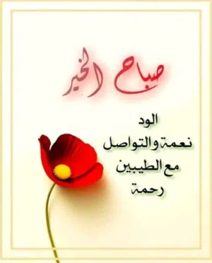 مطلوب شاشة 55 بوصة سمارت