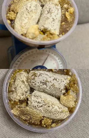 عسل ابو طويق