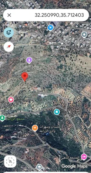 Mixed Use Land for Sale in Ajloun A'anjara