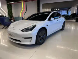2021 Tesla Model 3 Standard 54 kWh / Dealer Warranty / Good Condition