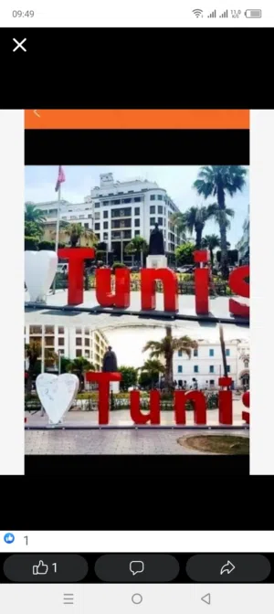 100 m2 2 Bedrooms Apartments for Rent in Tunis Other