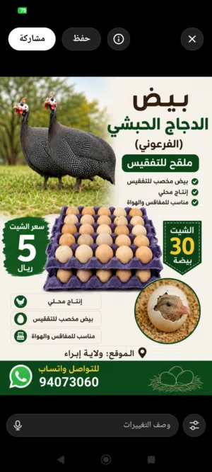 بيض دجاج الكانجا