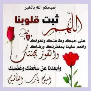 بيع شركات جاهزه