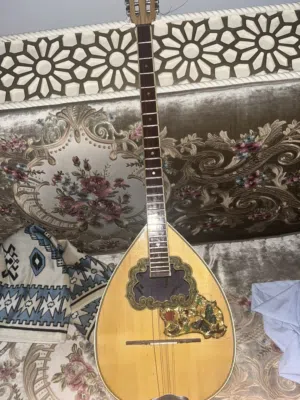 Greek bouzouki(from greek)