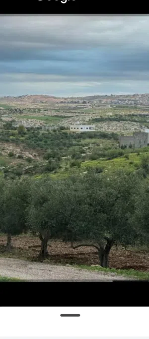 Farm Land for Sale in Irbid Other