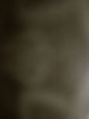 مجدية محروس اصلان 