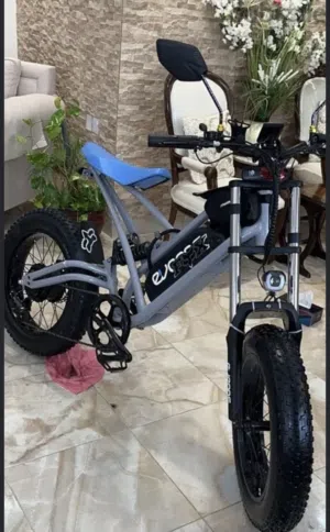 Eveons blue bee ii electric bike