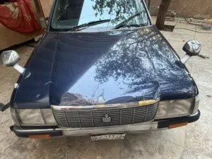 ارنب ديلوكس اصولي