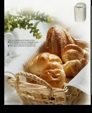 panasonic breadmaker