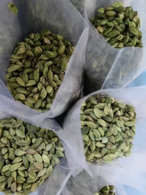 متجر متنوع 