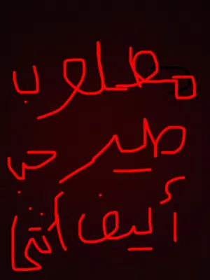 مطلوب طير حب أليف أنثى عمره سنه