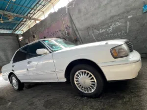 ارنب يسره بلاد