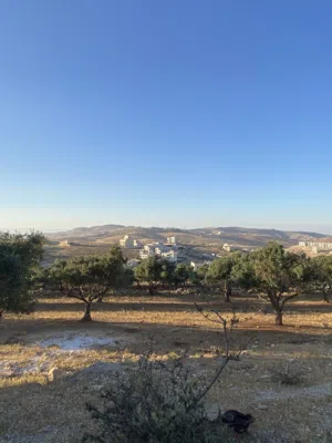 Residential Land for Sale in Amman Shafa Badran