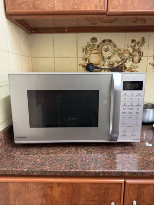 Panasonic microwave