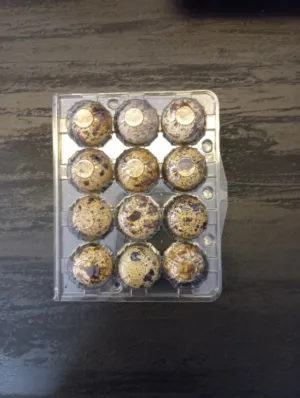 Others - Food - Supplements0