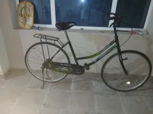 سيكل فراشه