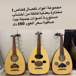 turki alsaeed