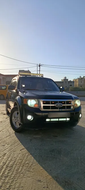 Used Ford Escape in Irbid