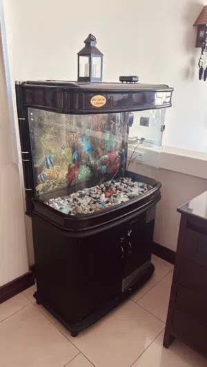 Fish Tank 1 Mtr
