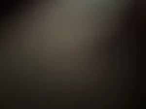 مجسمات ومزهريات