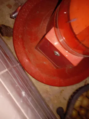 علكه طابه علكه  لفه