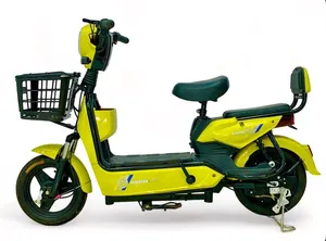 CRONY New T6 Electric Bicycle Latest Edition T6 Electric Bicycle BIKE