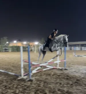 Horse for lease possible sale