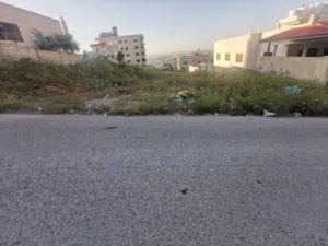 Residential Land for Sale in Irbid Zabda