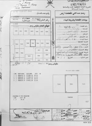 فرصة تم تخفيض السعر،خضراء
