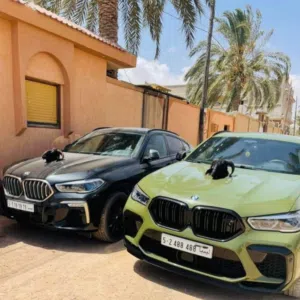 شركة المتحدة لاستراد السيارات