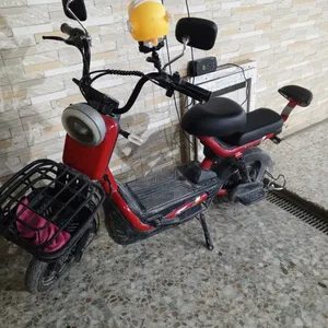 Electric Bicycles2