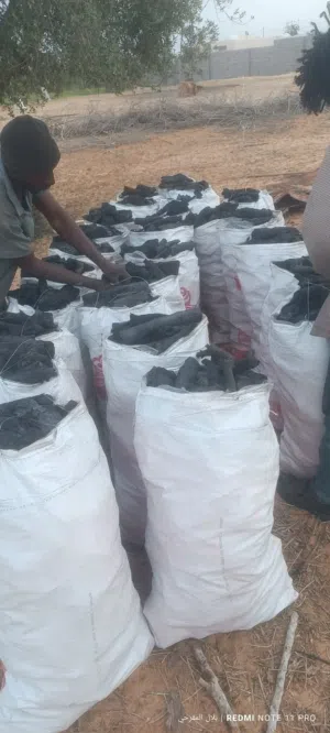 يوجد فحم زيتون درجه اولى المكان الزاويه البرناوي رقم الهاتف
