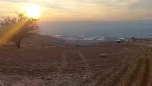 Farm Land for Sale in Salt Al Balqa'