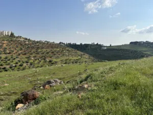 Residential Land for Sale in Amman Marj El Hamam