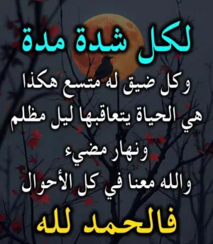 ناصر صبري محمد علوه 