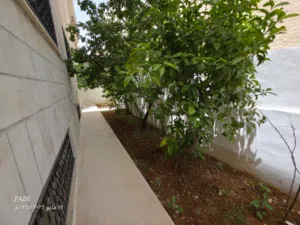 180 m2 3 Bedrooms Apartments for Rent in Amman Dahiet Al Ameer Rashed