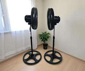 Fans . New0