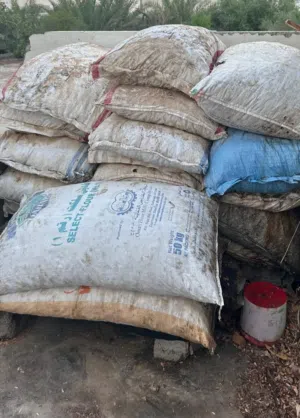سح نفيعة الجونية 50كيلو