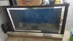 حوض سمك كبير مع فلاتره للبيع المستعجل