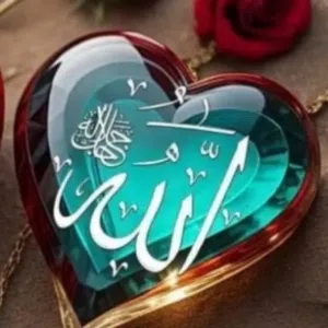 احمد سليمان 